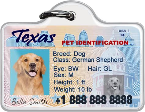 rfid tag cat|drivers license dog tags.